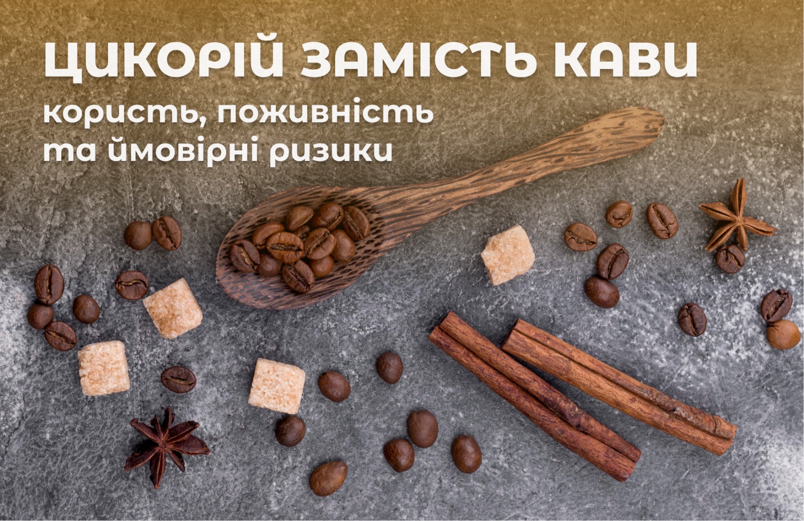 На зображенні зерна кави та цикорій, в верхній частині зображення напис: Користь, поживність та ймовірні ризики