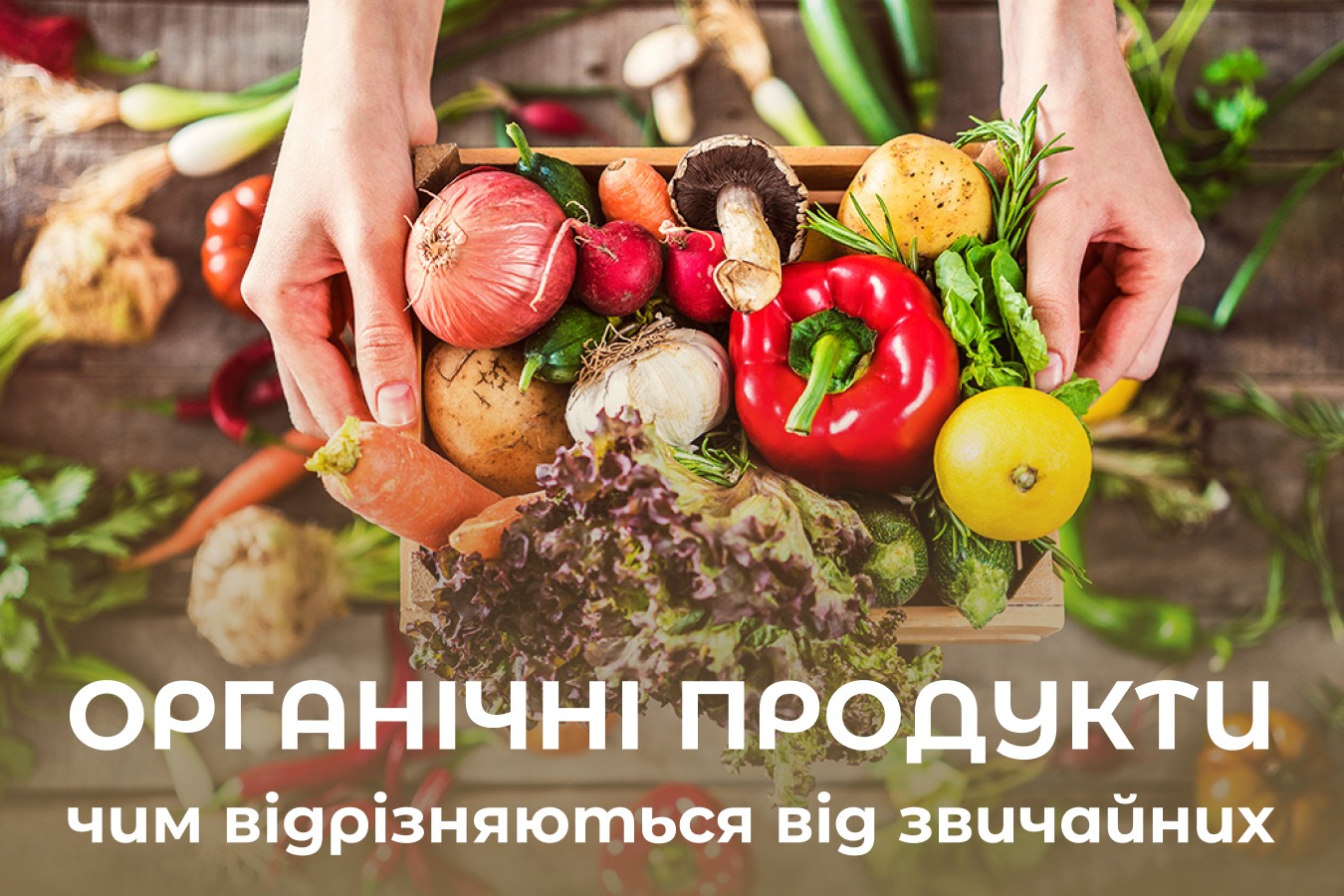 На зображенні тарілка з овочами у нижній частині напис: Органічні продукти, чим відрізняються від звичайних