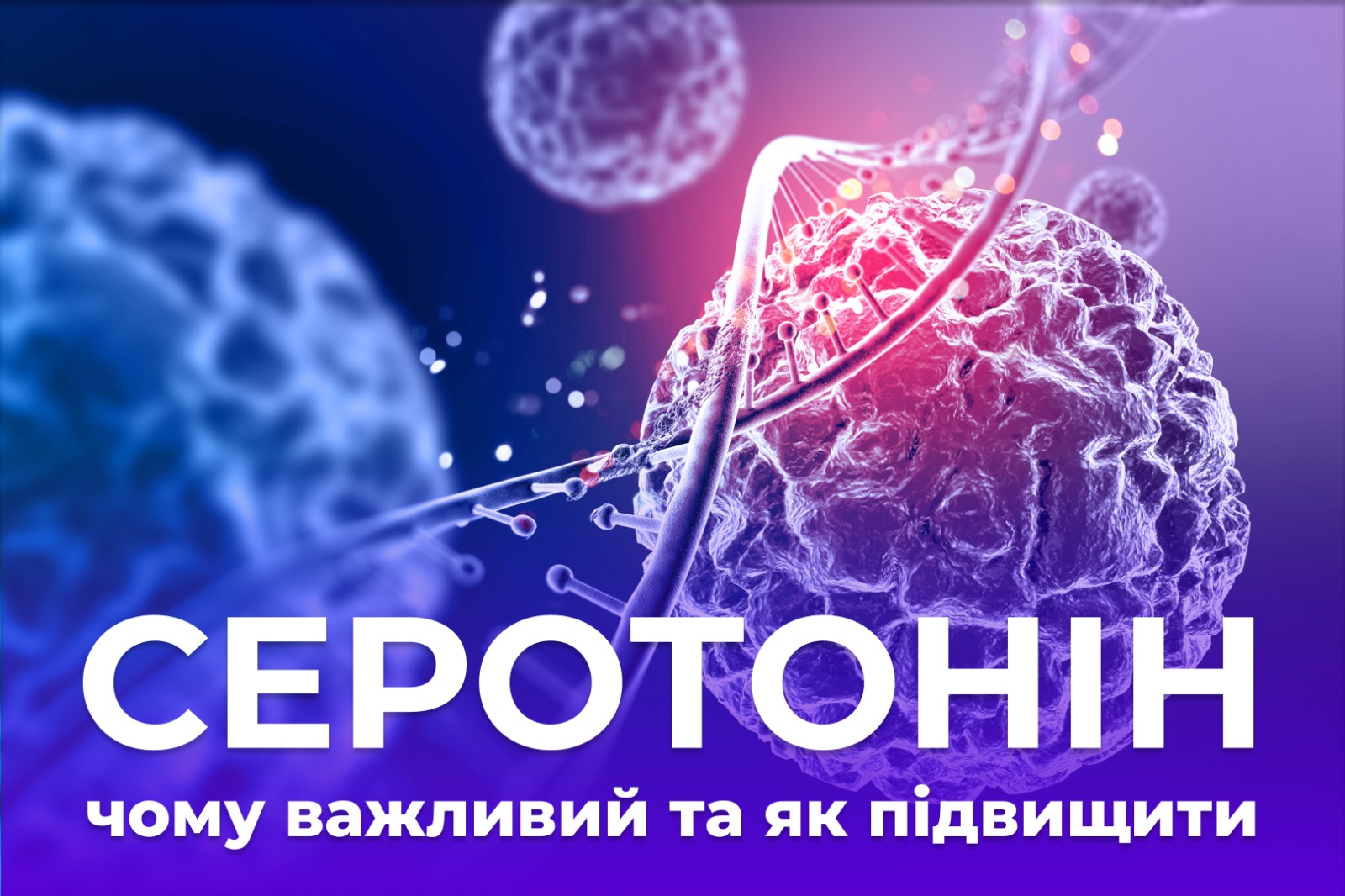 На зображенні стилізована молекула. Напис: Серотонін -чому важливий та як підвищіти
