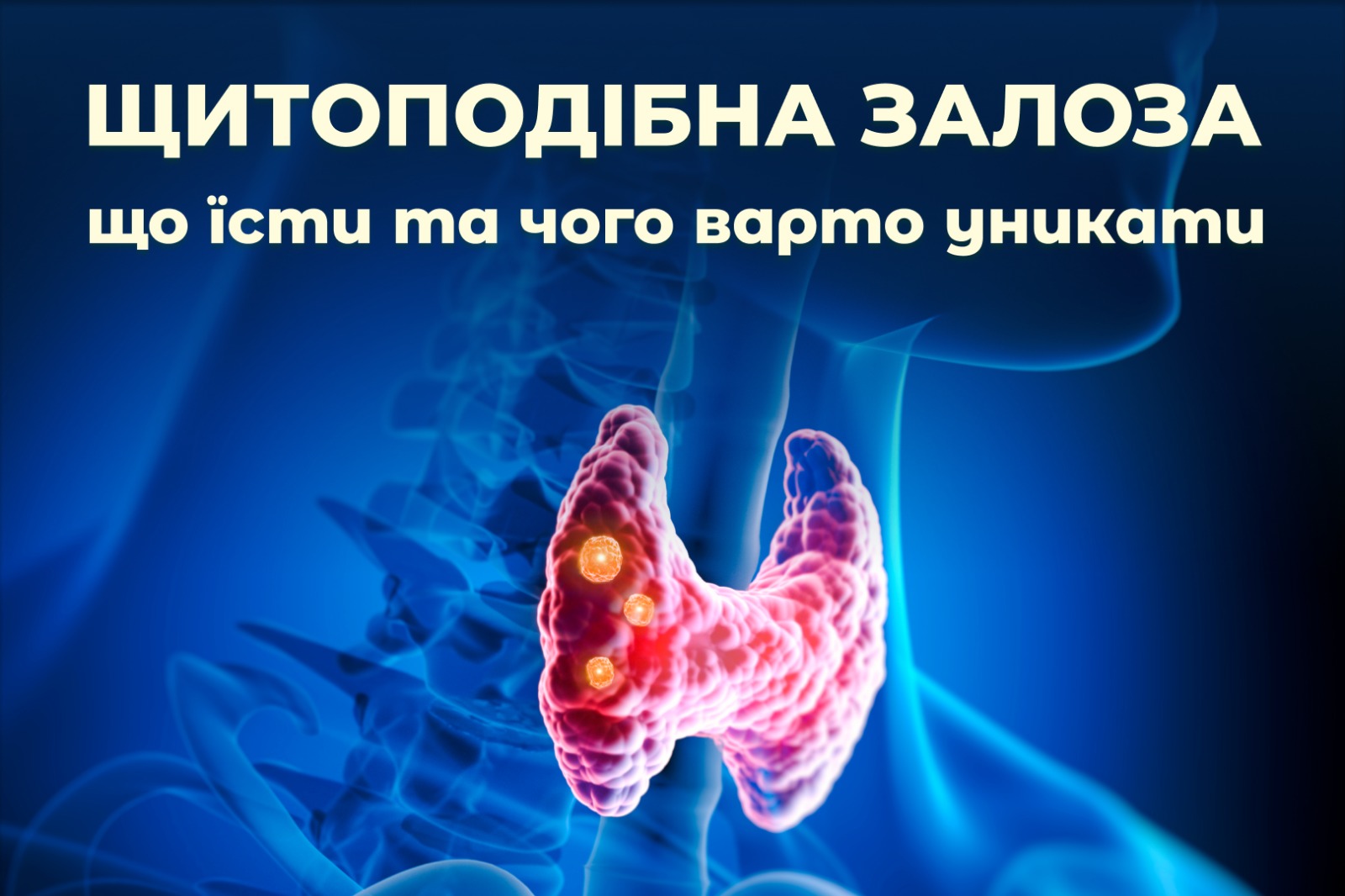 На зображенні проекція щитоподібної залози на шиї людини. У верхній частині напис: Щитоподібна залоза: що їсти та чого варто уникати