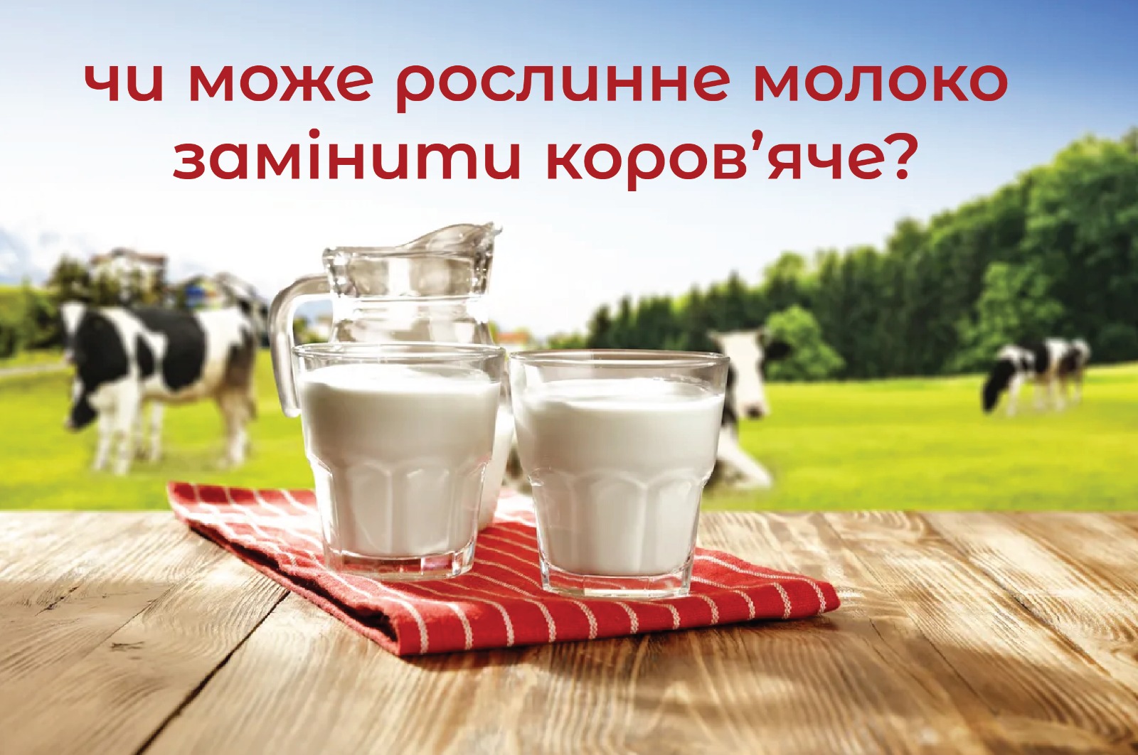На зображенні склянки наповнені молоком які розміщені на фоні корів на пасовищі, у верхній частині підпис: Чи може рослинне молоко замінити коров’яче?