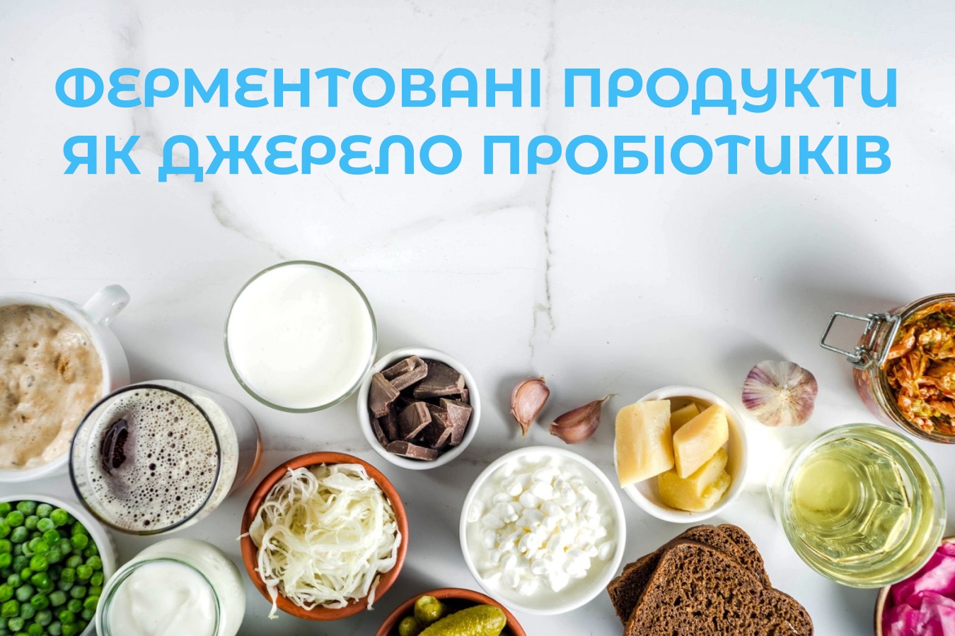 На зображенні зразки ферментованих продуктів описаних в статті