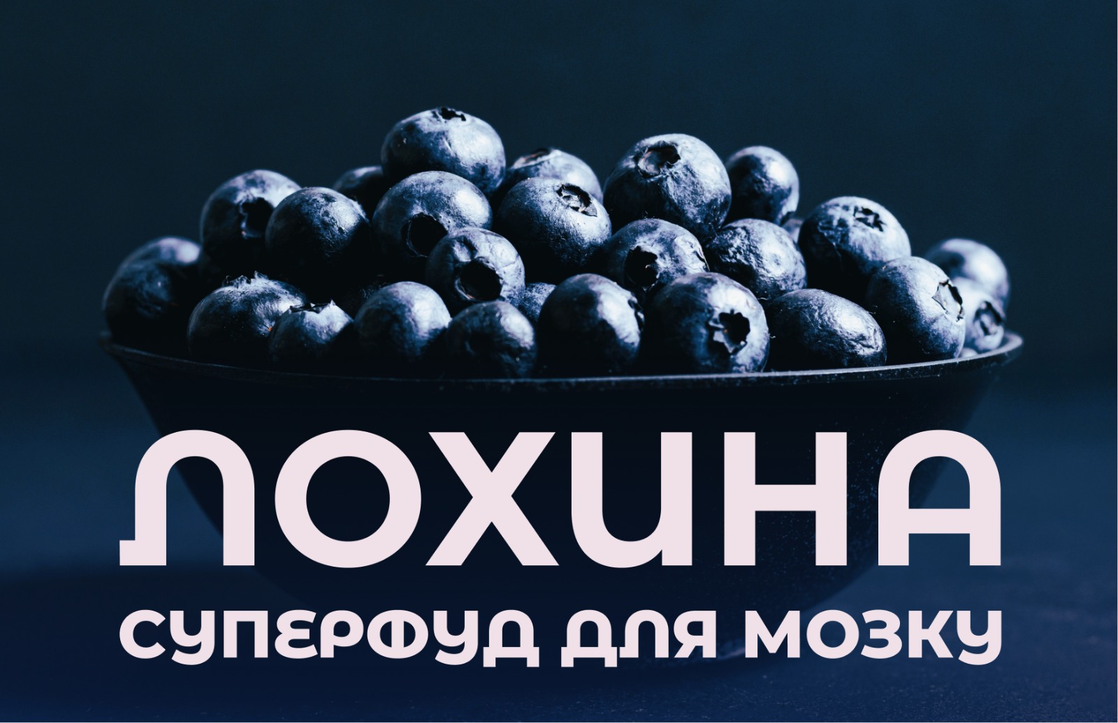 На зображенні ягоди лохини в нижній частині напис: Лохина суперфуд для мозку На зображенні ягоди лохини в нижній частині напис: Лохина суперфуд для мозку